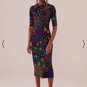 BNWT Farm Rio black fruit garden dress